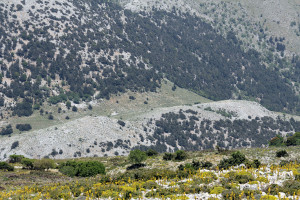 Imbros ruins view