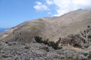 View towards the Kambia observation post